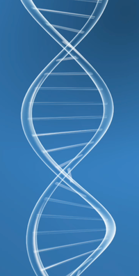 DNA site